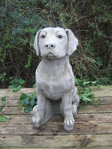 KA56 Large Labrador KA56 Large Labrador